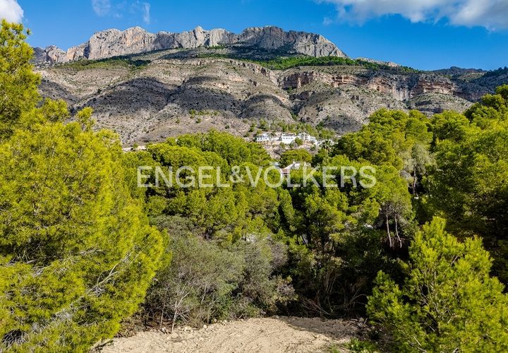 Grond in Altea, Alicante, Altea - € 250.000 | Ref: W-046QR0 - foto 1